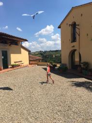 2622b14d-6f67-4782-8023-2d6254dd1ebd