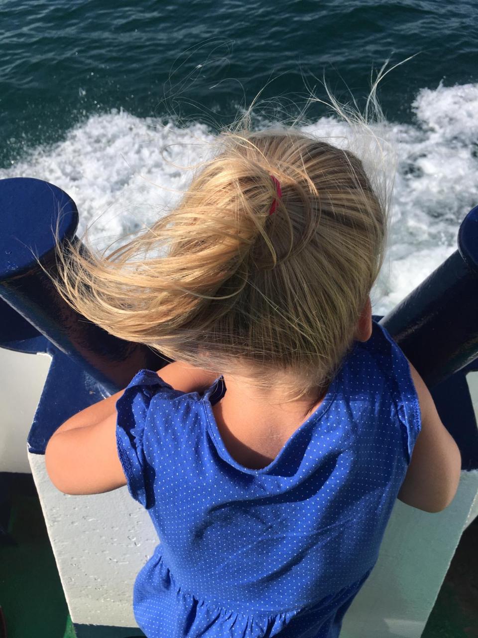 d8d84327-7f1b-4a35-acbe-ae6e1bcc28e3 (1)