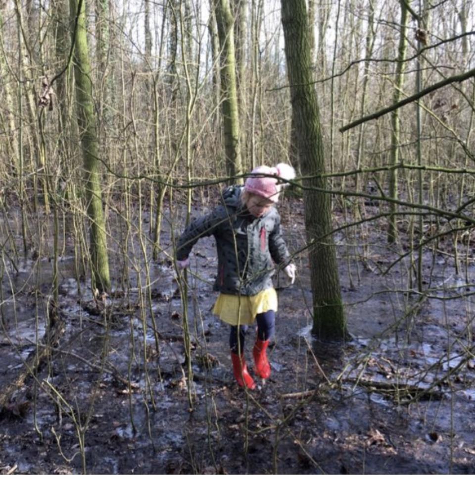 EB1B33A1-8E0C-41E2-A908-BE6279399892