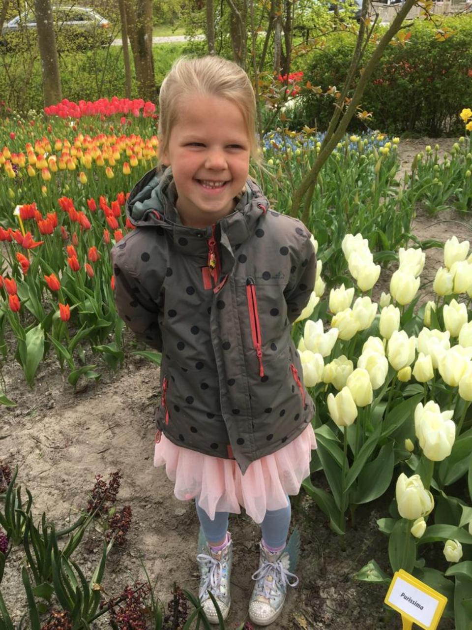 33b6afa2-51b0-427f-a2f7-c8fc011d7dbe