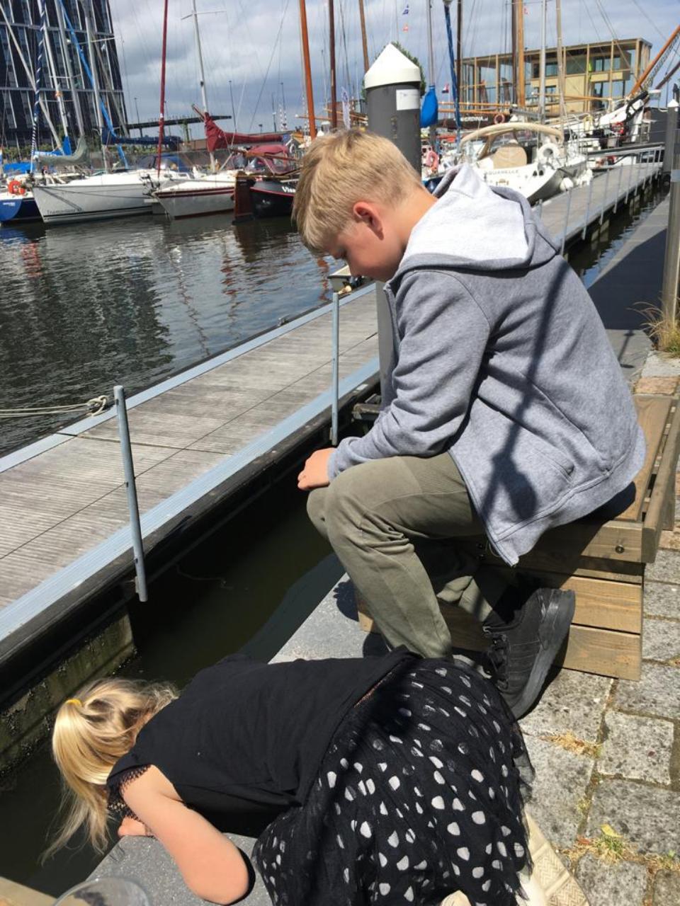 B64E3C68-0173-4888-8C06-56DBA361D736