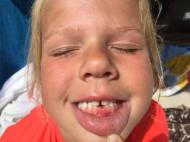 77FDD0B2-983E-4C69-B426-3012352763A6