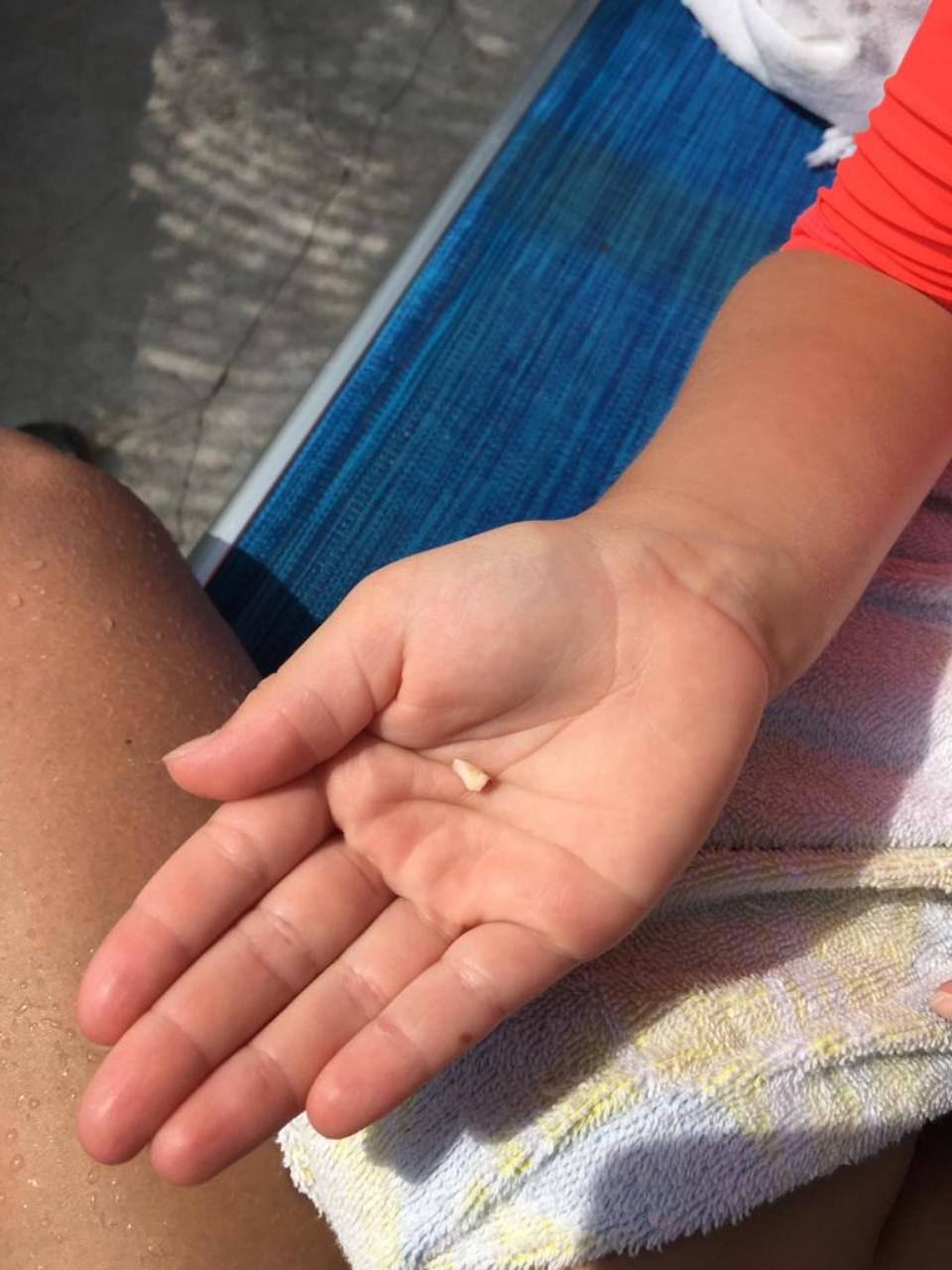 8158DB5F-1449-4ADD-91EA-C21C11E53564