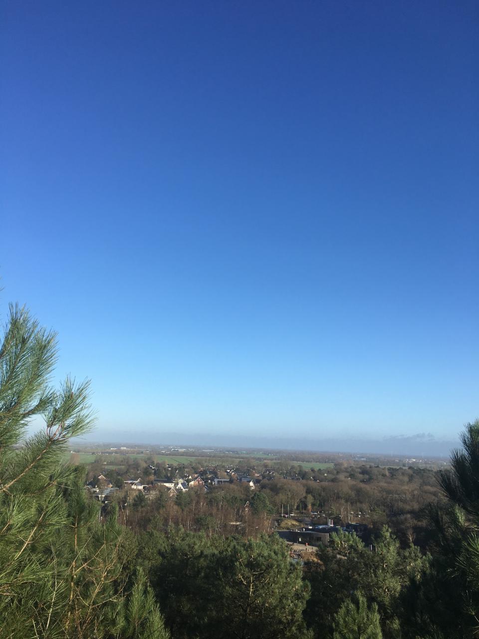 D54F5562-6E30-4979-9464-7850C0CE02BE