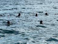 26538E05-96A5-44C1-A123-D68CAA6D1291