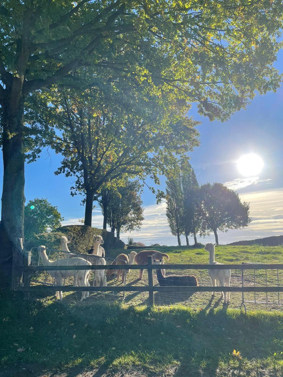 08897B83-4A52-4266-85B8-05A1C8A2CA9A