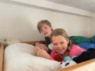 53BB8D61-3195-4303-88CE-D0ED3794AD29