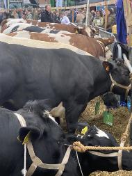 0515D2E8-71AC-464E-8F5A-D95ADAB66CE2