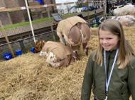 7845FD60-97BF-4277-BF5C-9BA39A55BF93