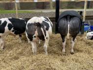 79AA2F5E-72EF-4CE5-A52A-2F9EF6C9C8B5