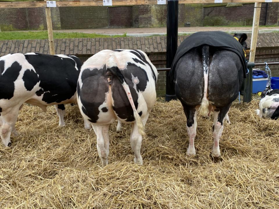 79AA2F5E-72EF-4CE5-A52A-2F9EF6C9C8B5