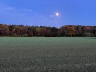 3b3d2c50-1506-48d3-afa8-352c504c0e54