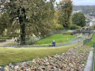 5e4197d1-005c-439e-ada6-c1cb1b49b0ac