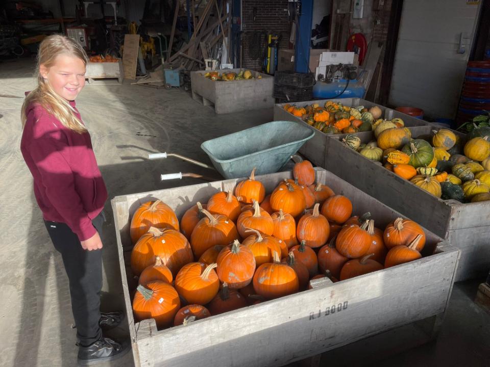 50def991-ad9f-4923-aa34-4ce973a2aa0e