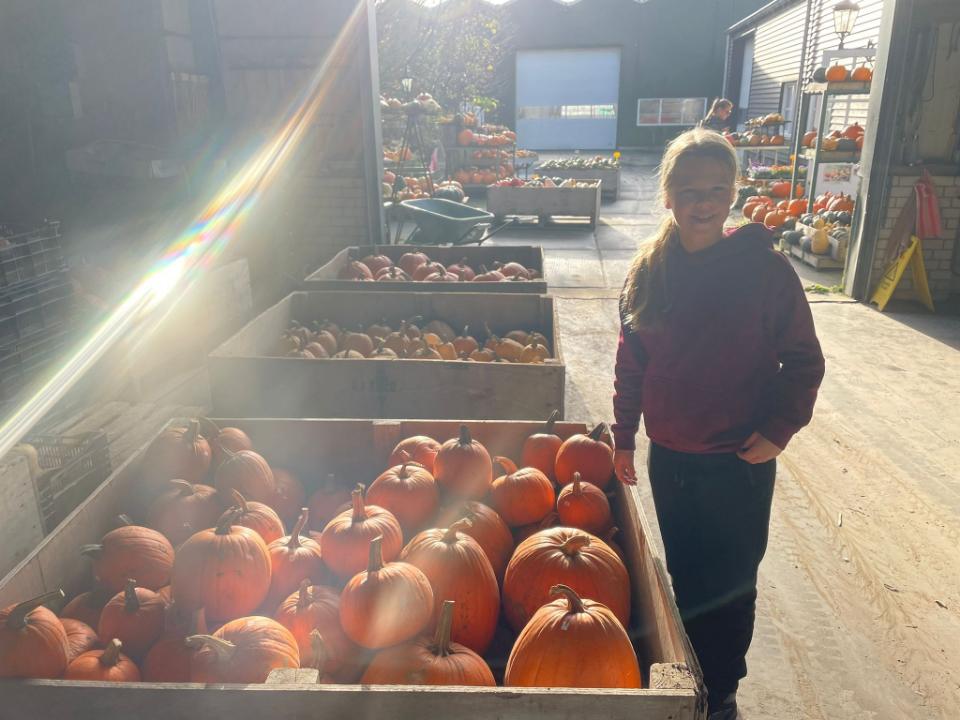 b7aa5b61-7798-47c1-a3db-f1b892d91bf8